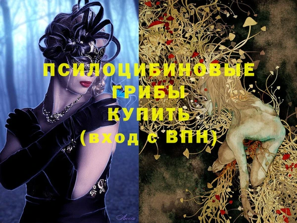 spice Алексеевка