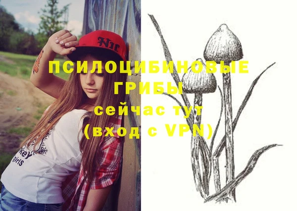spice Алексеевка
