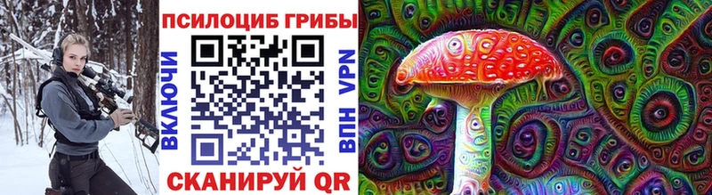 закладки  ОМГ ОМГ ТОР  Псилоцибиновые грибы Psilocybe  Уяр 
